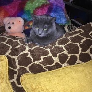 Meet your Posher, Jasmine